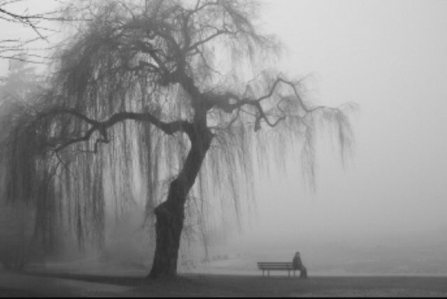 hendrew1102's profile banner image