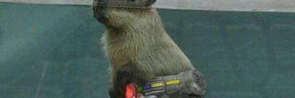 a_Capy's profile banner image