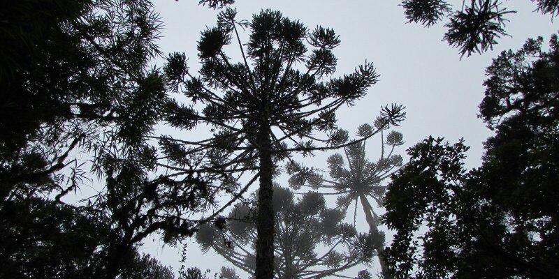 duds_bc's profile banner image