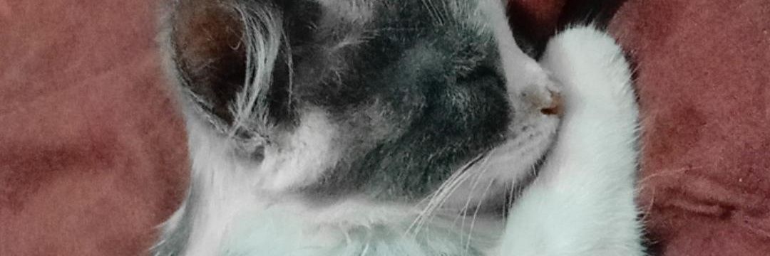 wdymreta's profile banner image