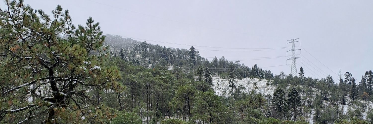 _mxyen's profile banner image