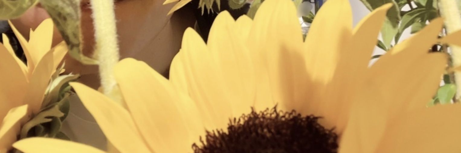 cat3face's profile banner image