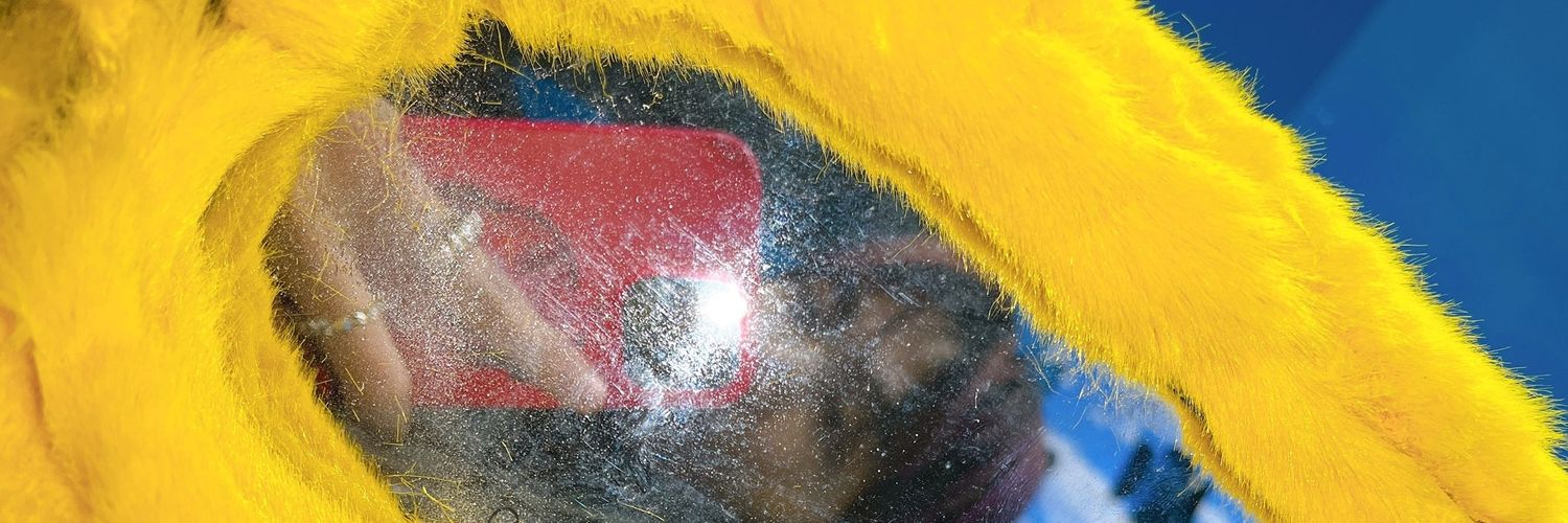 tinyursidae's profile banner image