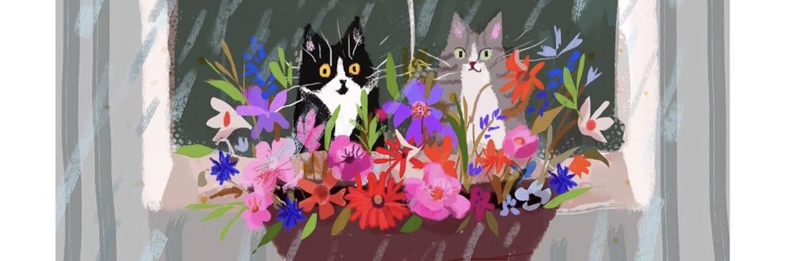 llshayll's profile banner image