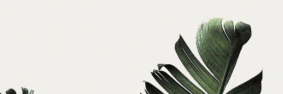 rangarcia's profile banner image