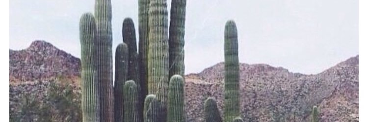 LilAriSunshine's profile banner image