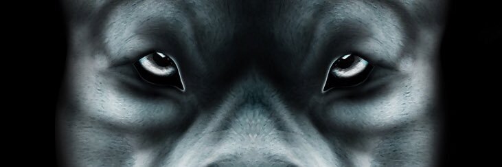 Grimes3688's profile banner image