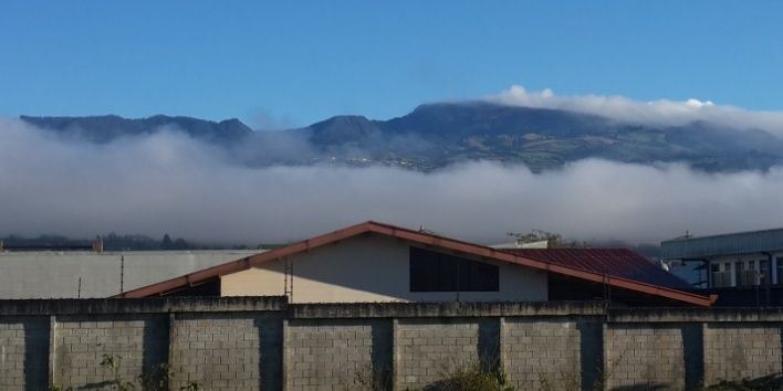 Diego Coto Ramírez banner