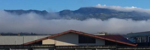 cotodiego Profile Banner