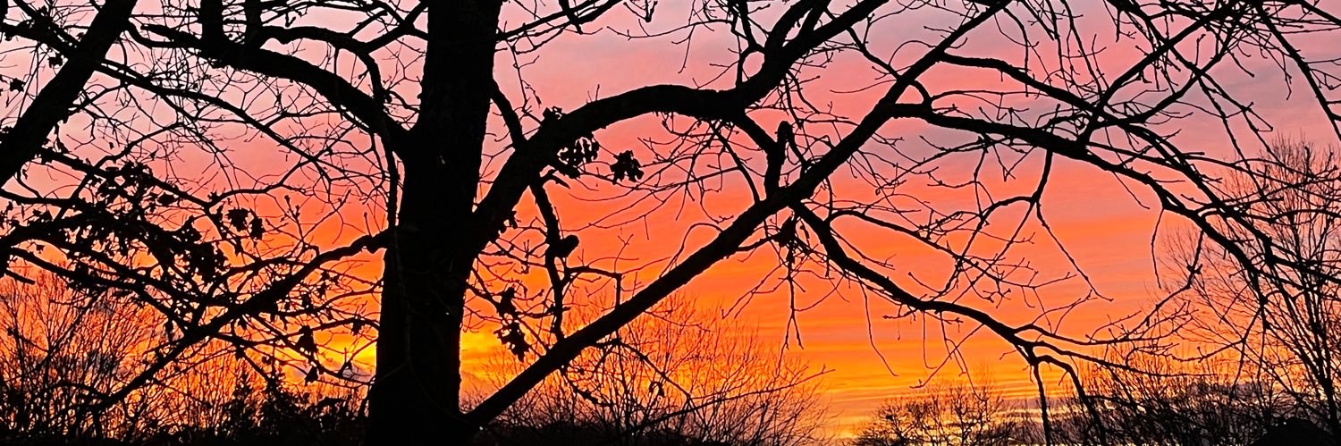 StlGal23's profile banner image