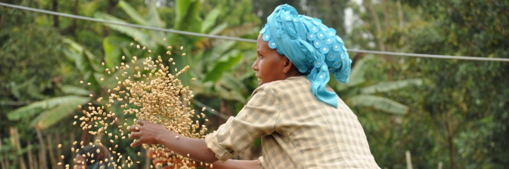 Bean There Coffee banner