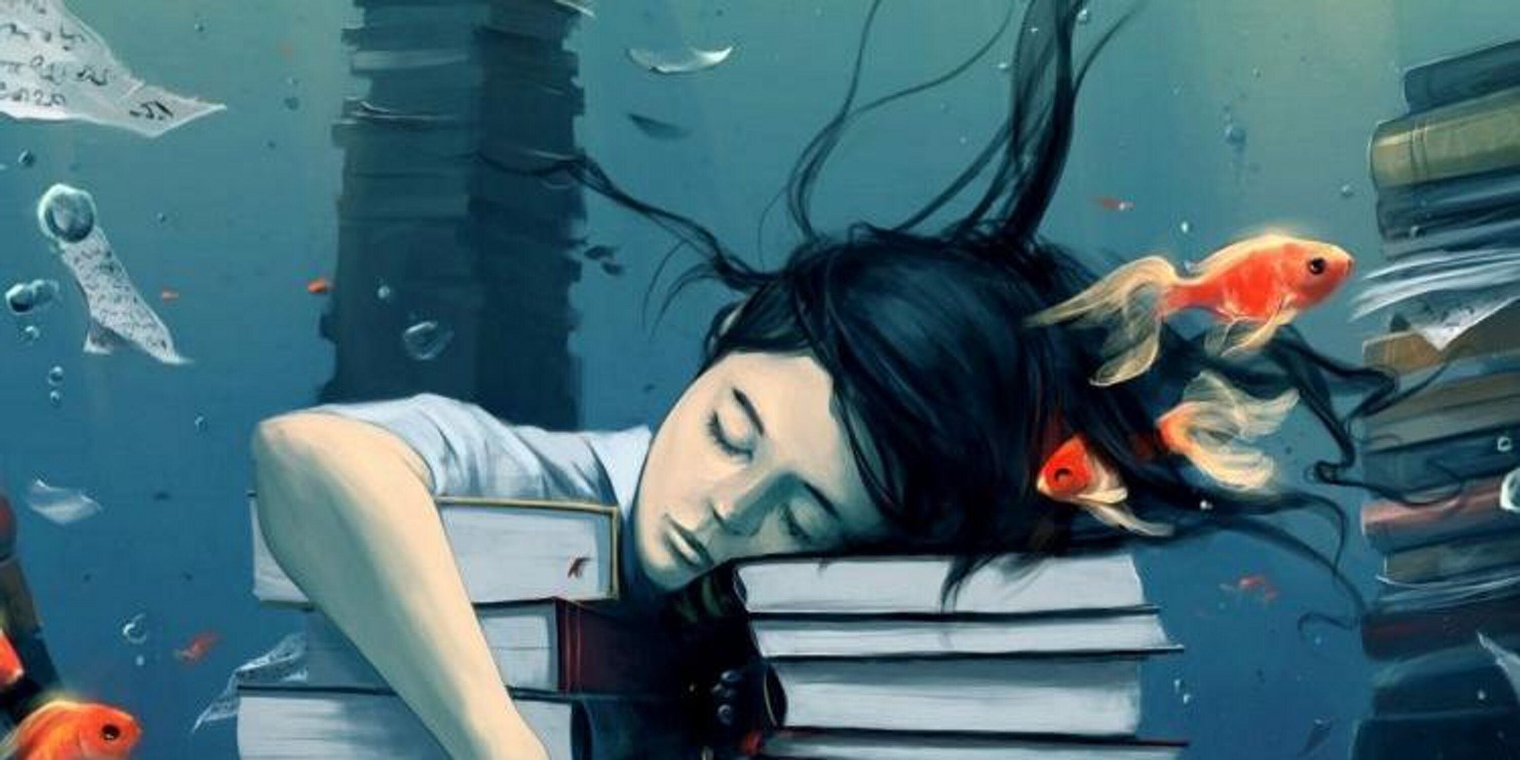 mayalc9698's profile banner image