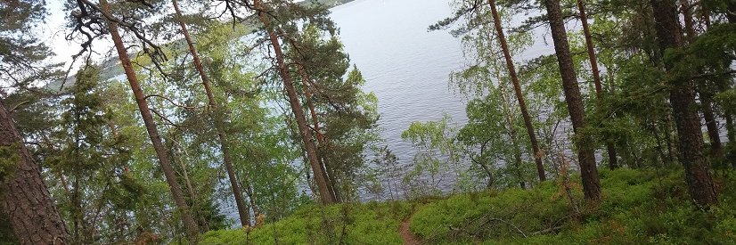 Riinukka's profile banner image