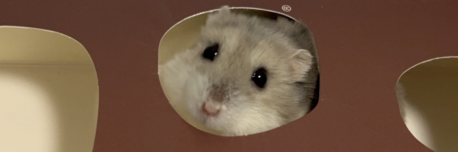 minminmarumin's profile banner image