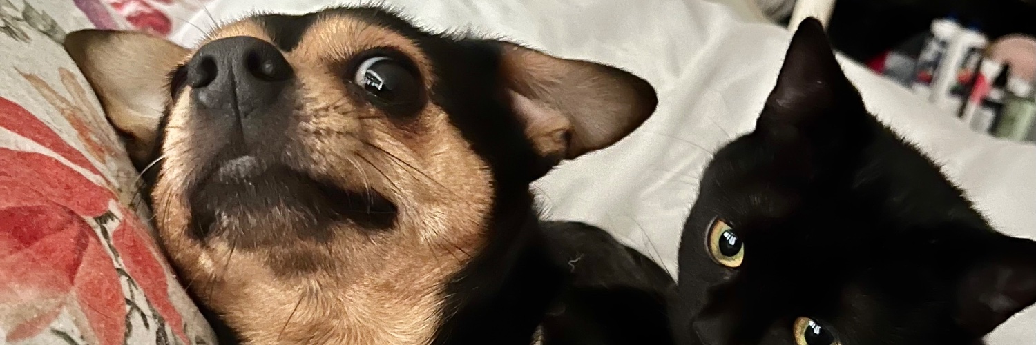 NataleeLuck's profile banner image