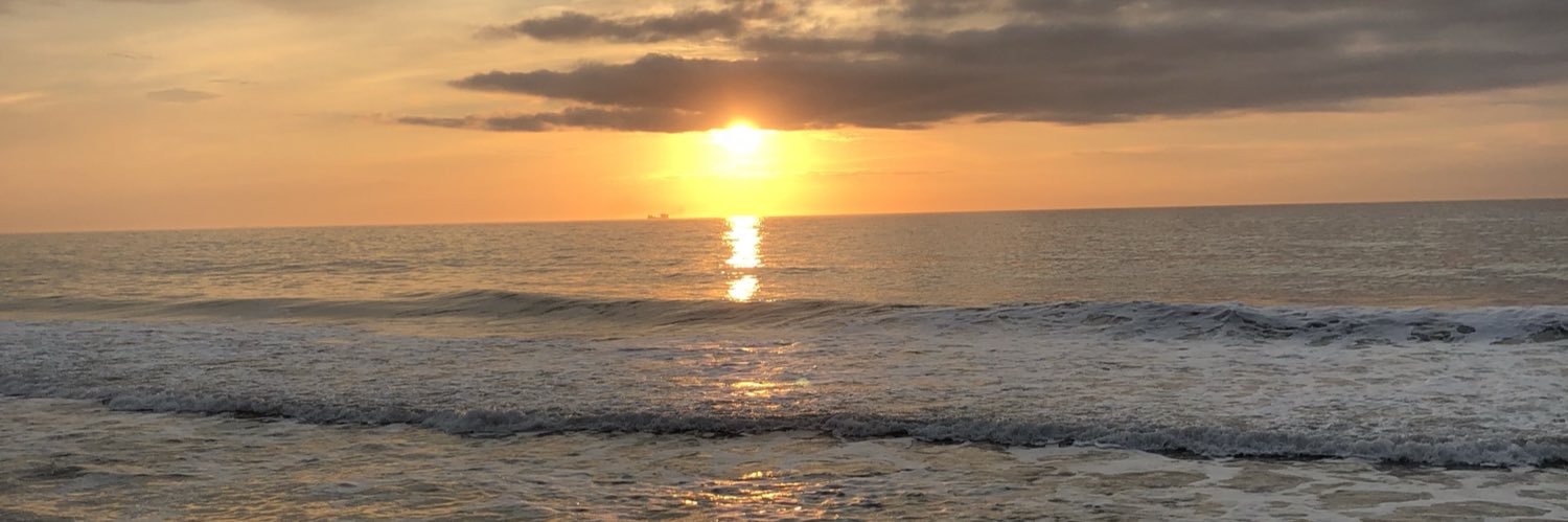Michelle_Fiume's profile banner image