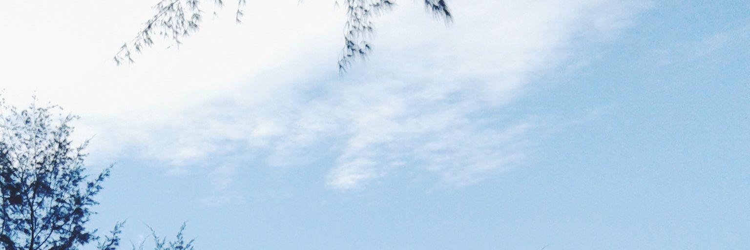 ashrayaya's profile banner image