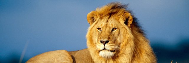fcassisi2's profile banner image