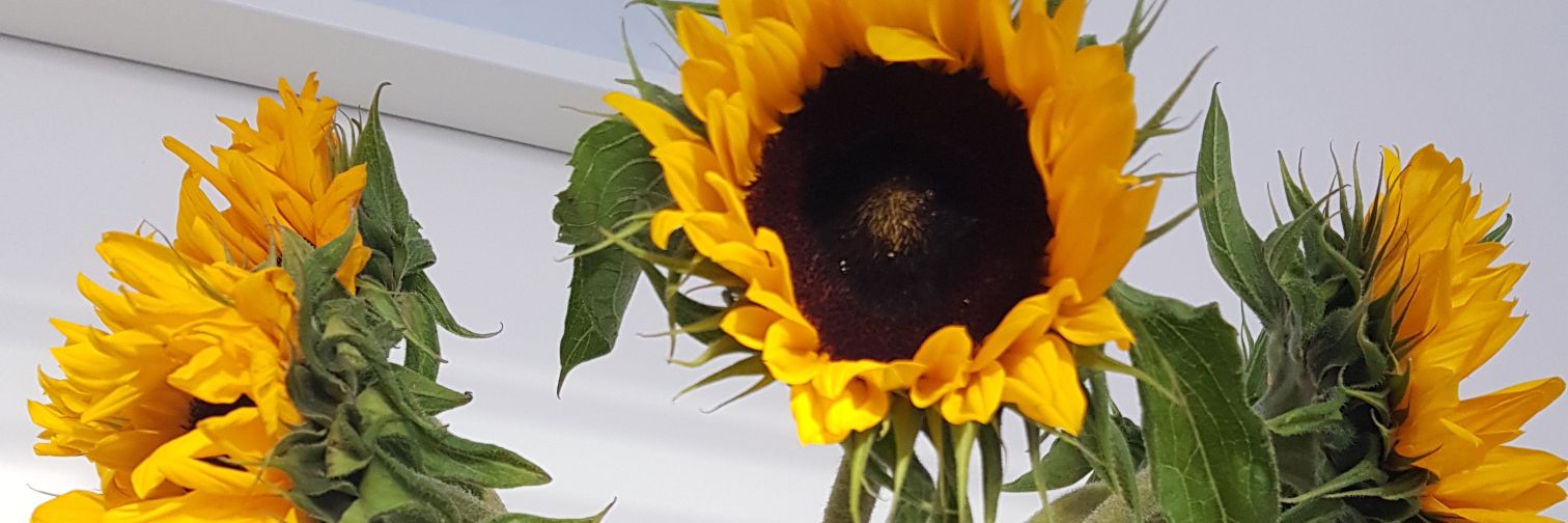 _itsKatyyy_'s profile banner image