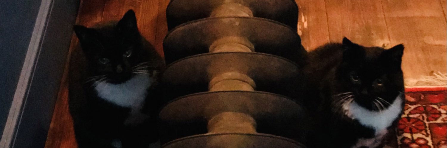 Oeax's profile banner image