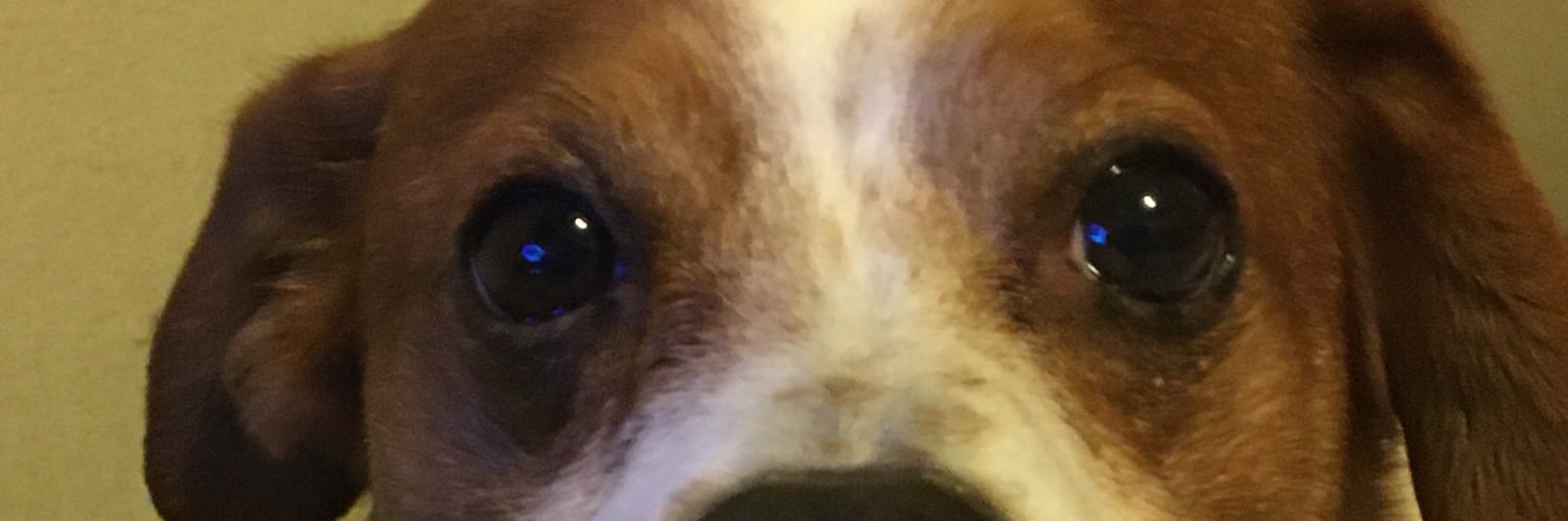 dirtyZeph's profile banner image