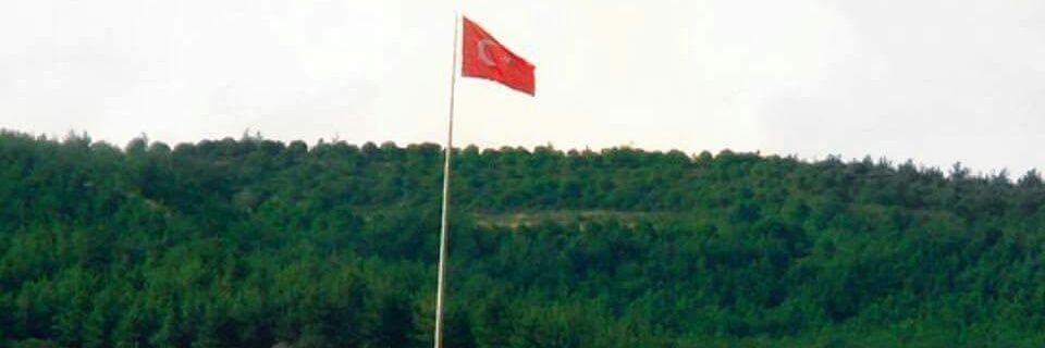 Hasan Sarı banner