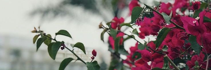 fedo4444's profile banner image
