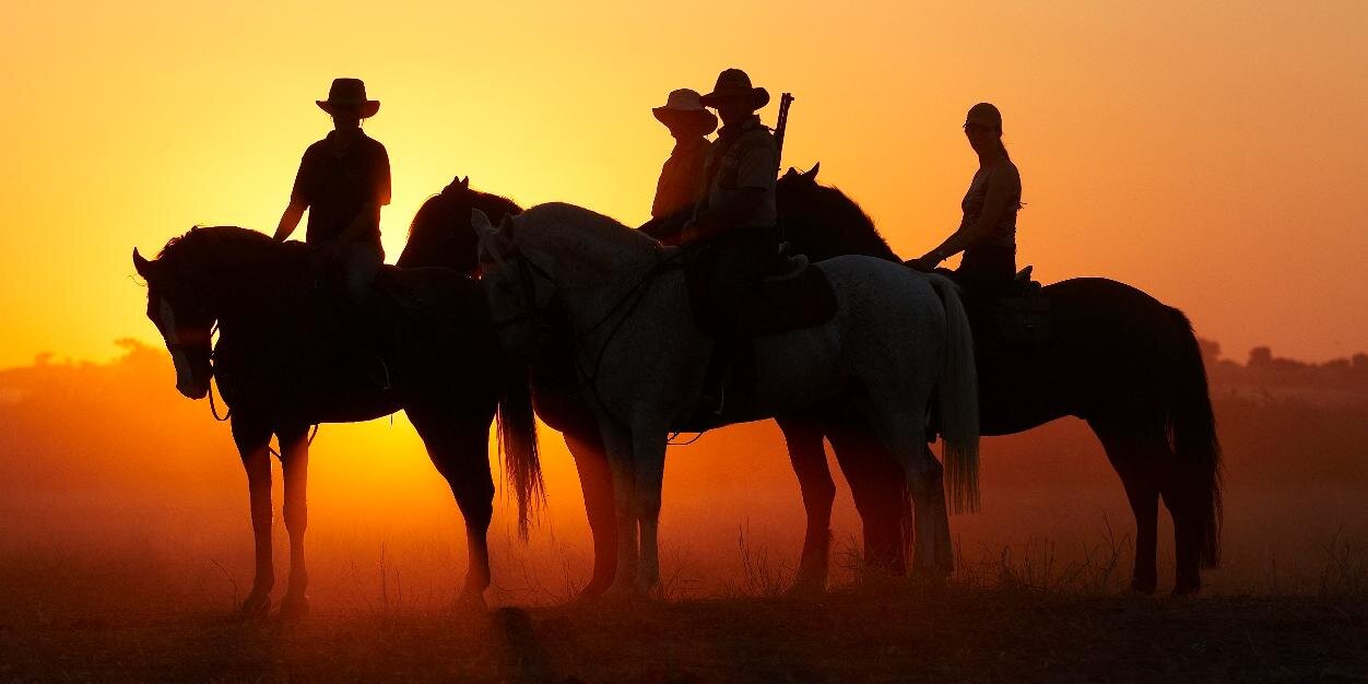 Randocheval's profile banner image
