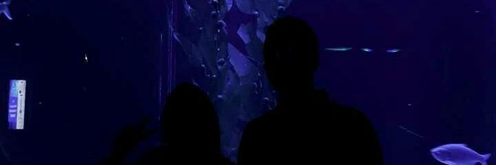 gemamardika's profile banner image