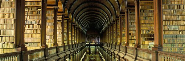 SelinYetimoglu Profile Banner