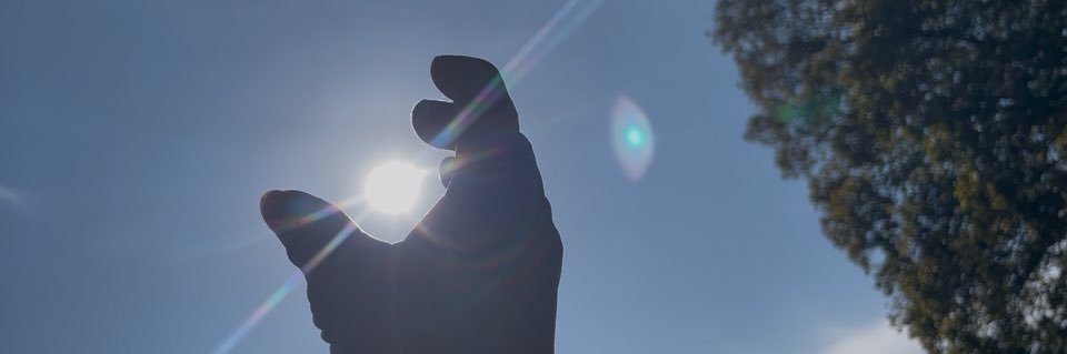 燐光 banner