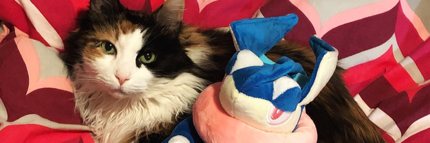 🩵💙💜SnookumsGal💜💙🩵 banner