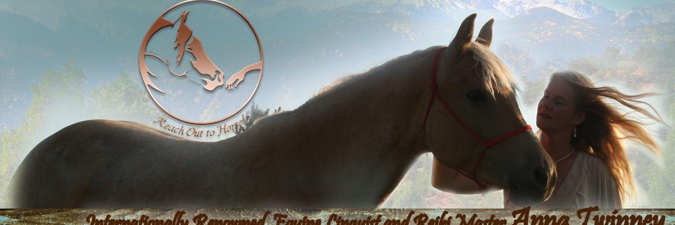 AnnaTwinney's profile banner image