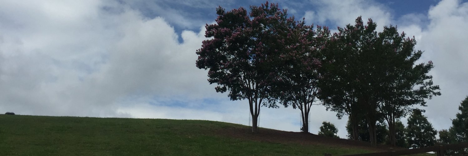 mamorrell's profile banner image