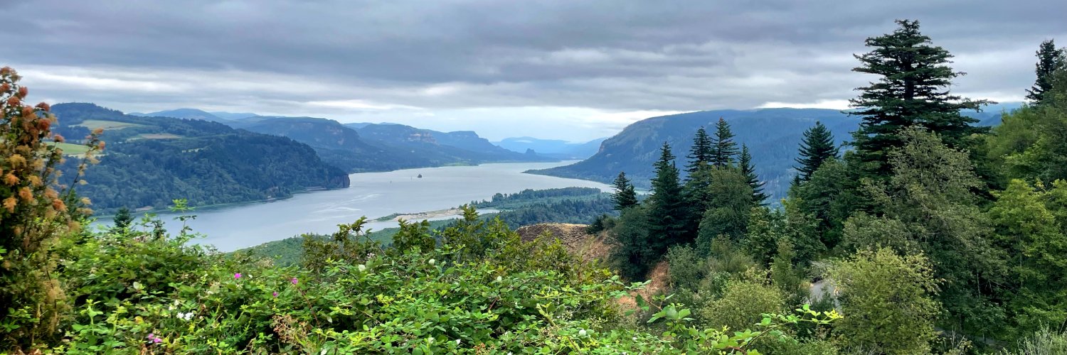 Elizabeth Swanson banner