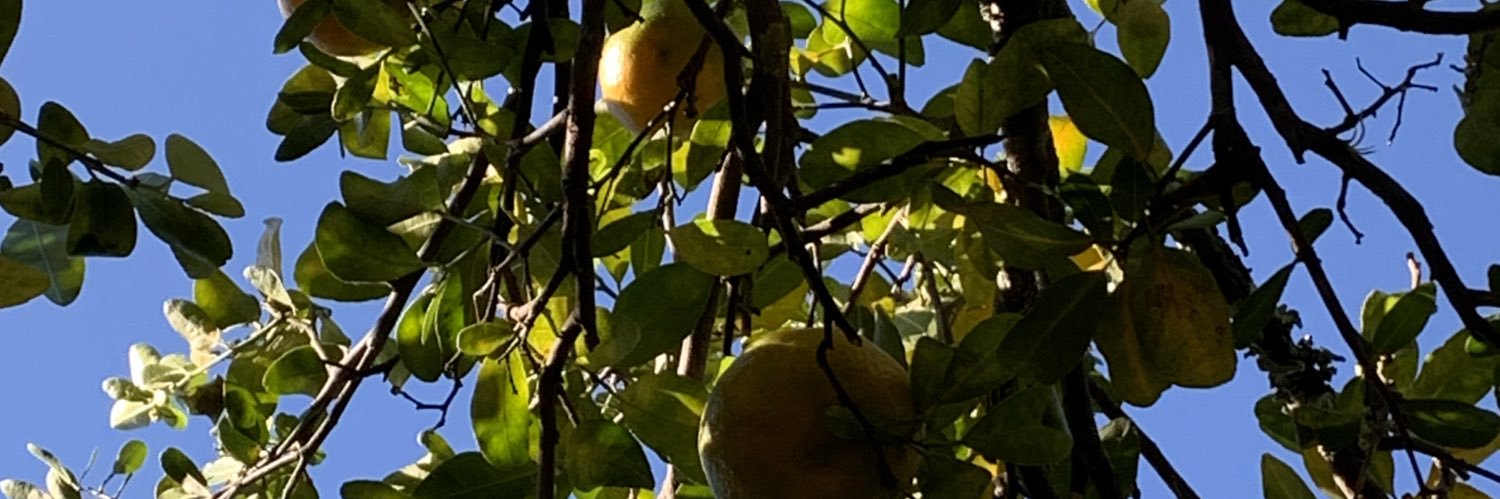 DaniAggio's profile banner image