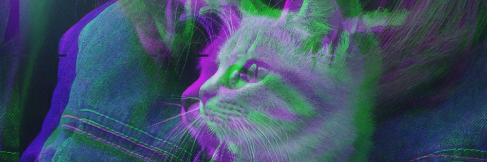 Влади́слав banner