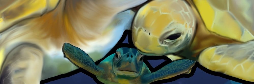 maralevius's profile banner image