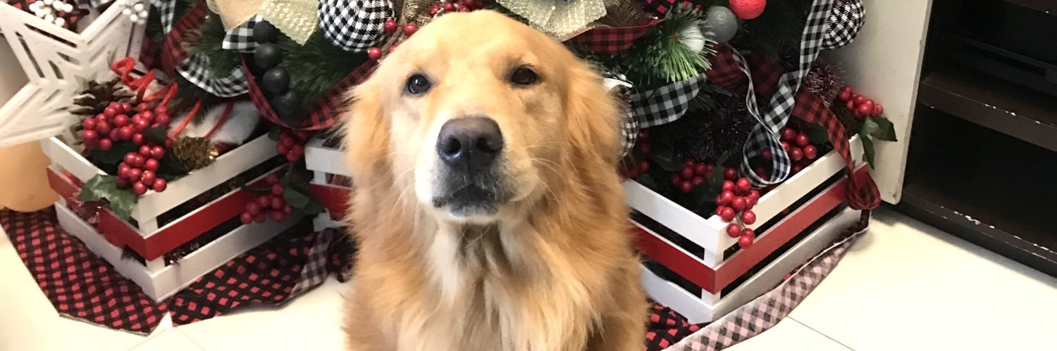 iloveUnee's profile banner image