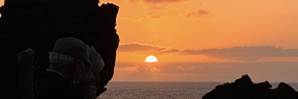 sarapadron_'s profile banner image