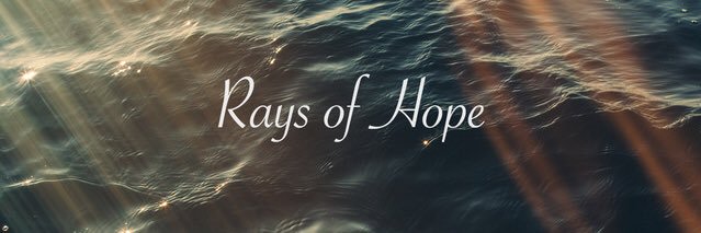 wafaschaaa's profile banner image