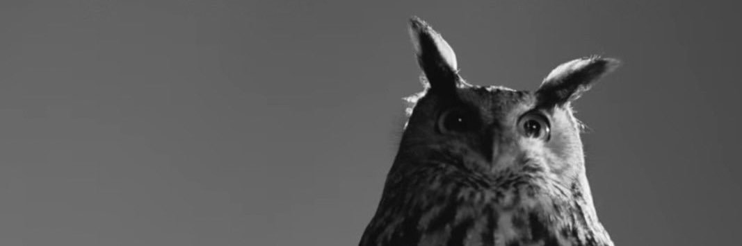 k8_Tay's profile banner image