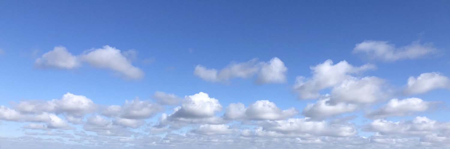 ViickyEllen's profile banner image