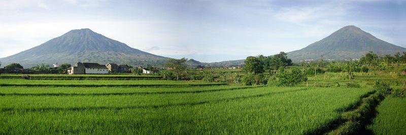 taufiq_setyo's profile banner image