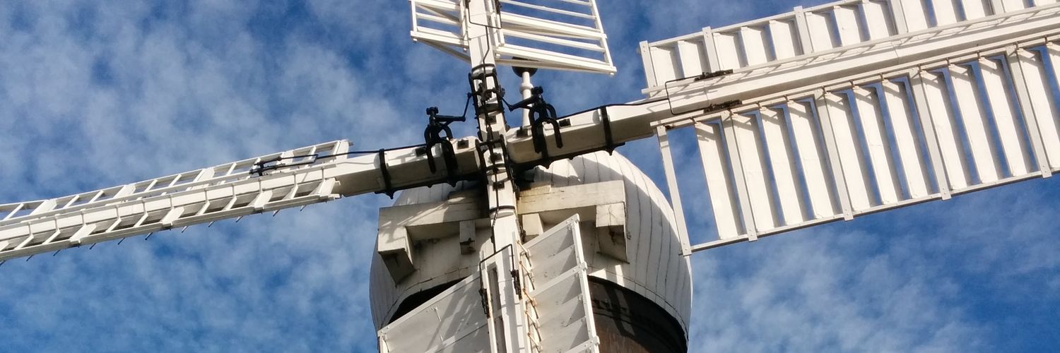 Rachel Baynton banner