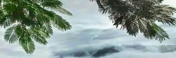 geetanjalidhar Profile Banner