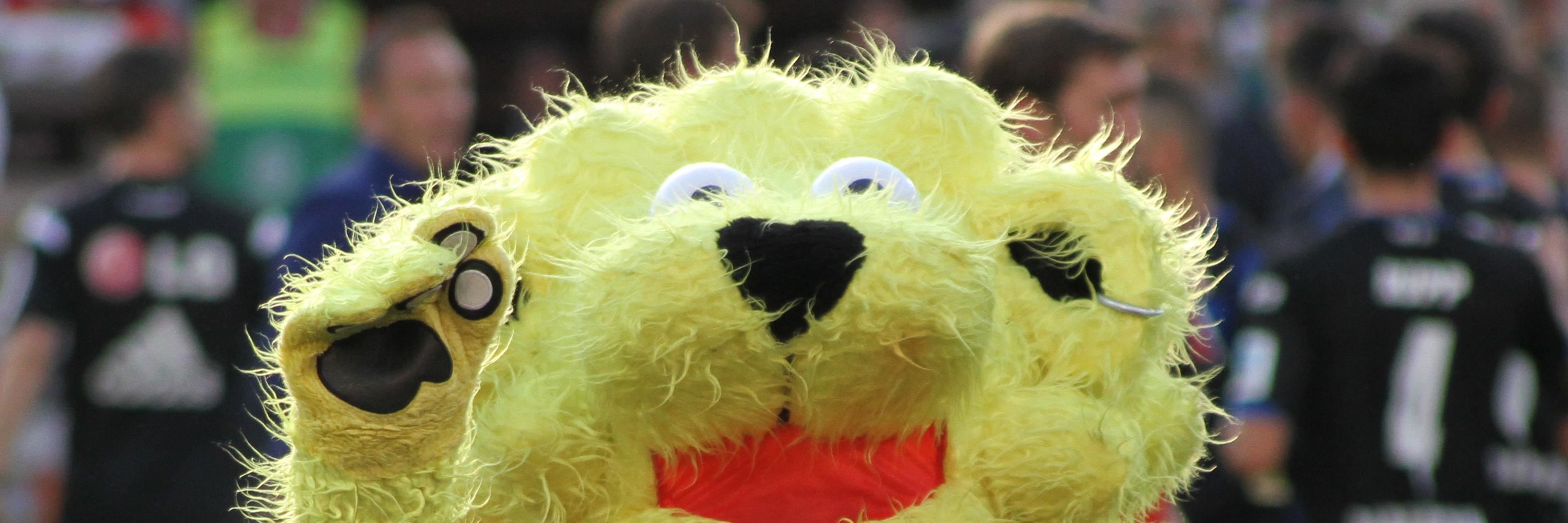 Fusshalt's profile banner image