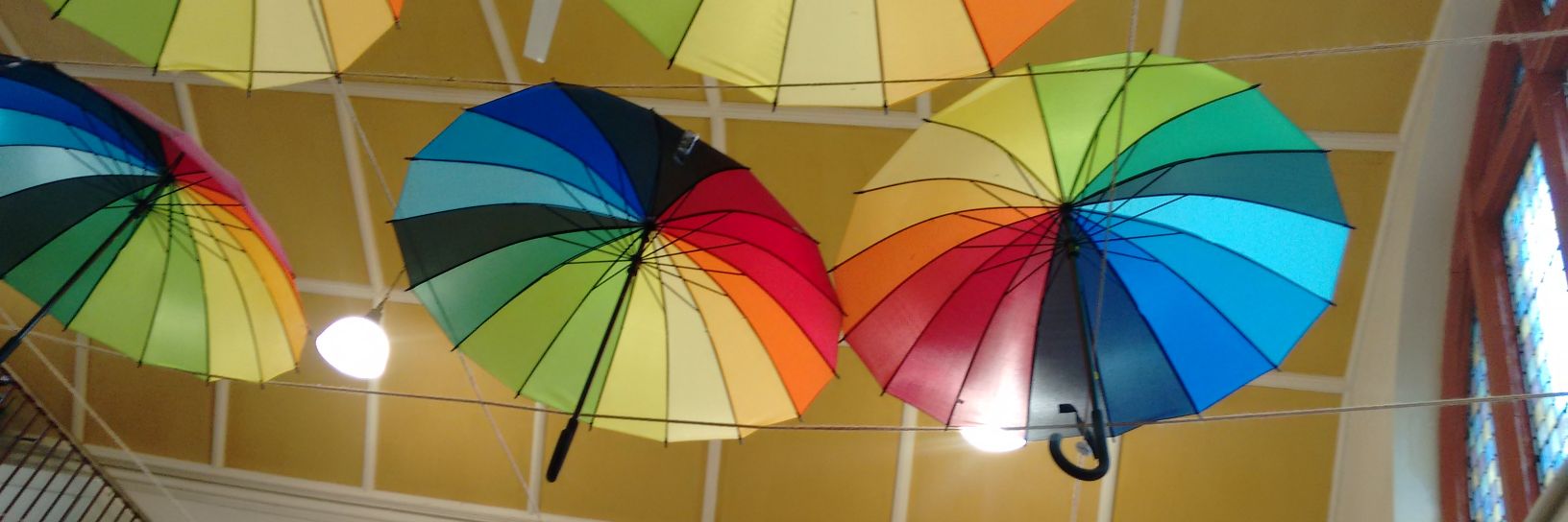 Kate Williams banner