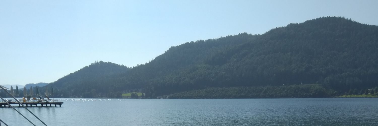 PetraStrutzenbe's profile banner image