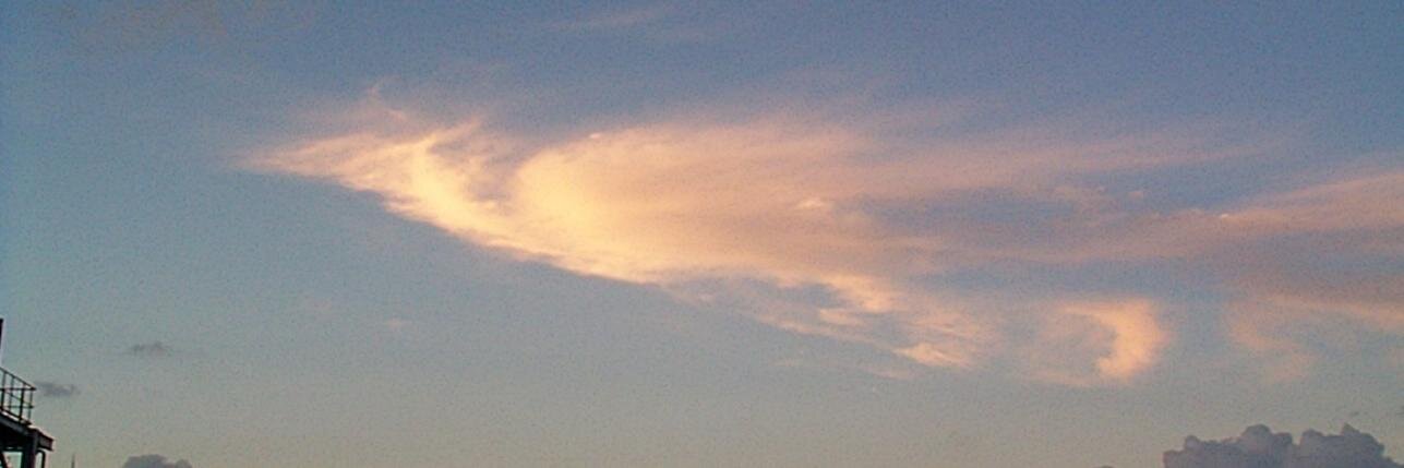 miox9001's profile banner image